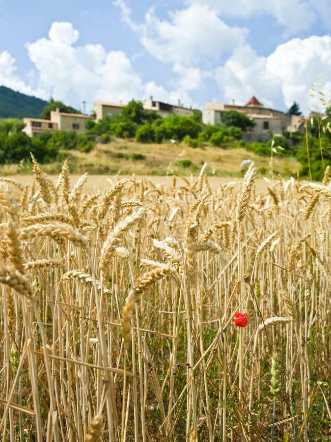 Le Jas De Verdolier Sault-de-Vaucluse Esterno foto